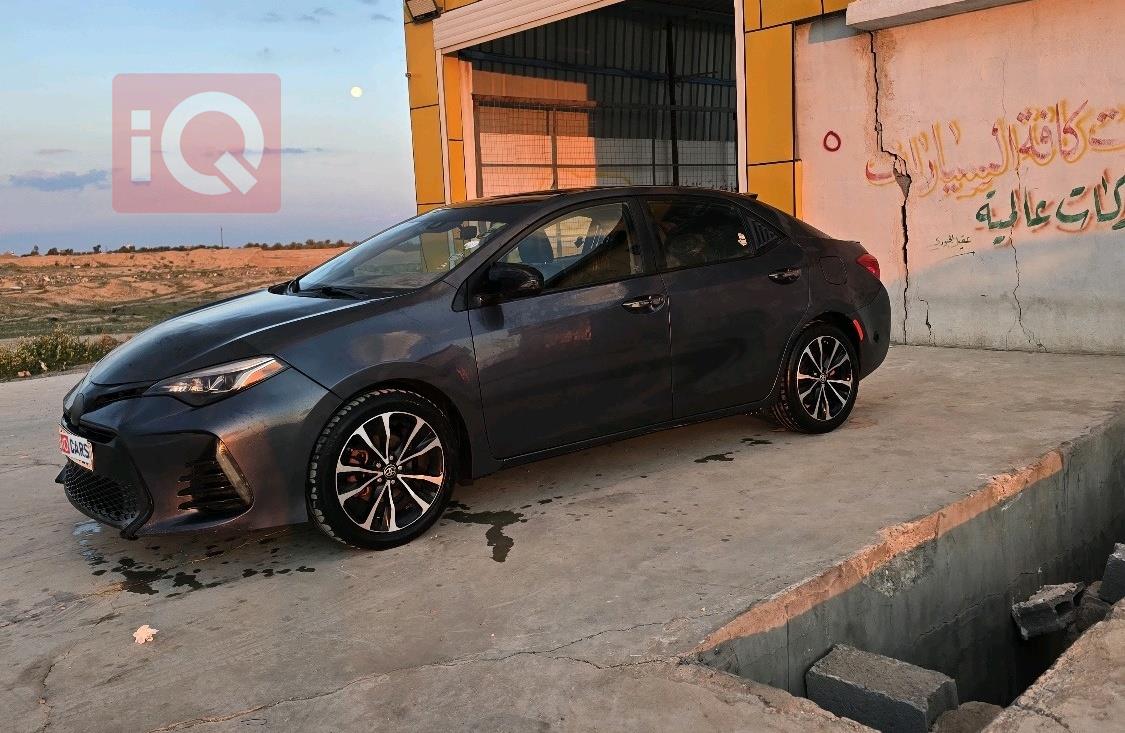 تويوتا كورولا